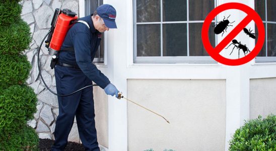 Burhaniye Dezenfeksiyon böcek ilaçlama ve haşere kontrolü — ilaclama-tr.com